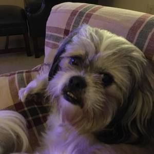 Meet your Posher, Erin