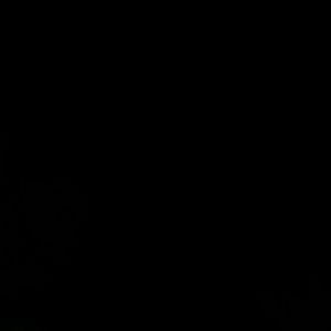 Meet your Posher, Eve