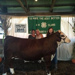 Meet your Posher, Suzanne