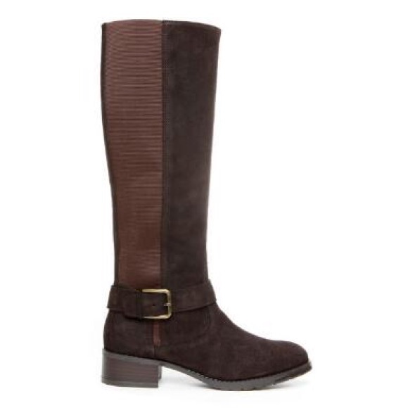 New! Never worn.  Donald Pliner riding boots 👢🐴