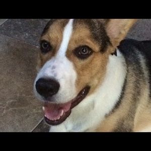 Meet your Posher, Judy