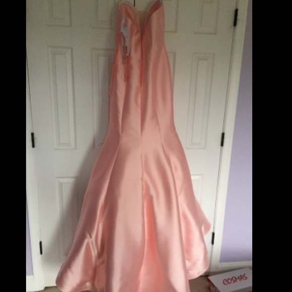 Size for blush jovani prom dresss - Picture 4 of 4