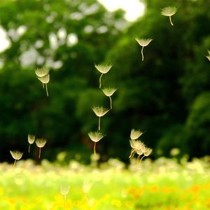 Meet your Posher, Leigh