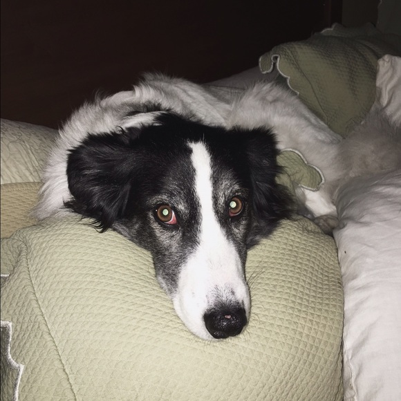 meet your posher, gwen ✨🎭 - Picture 3 of 3