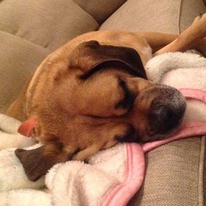 Meet your Posher, Marin