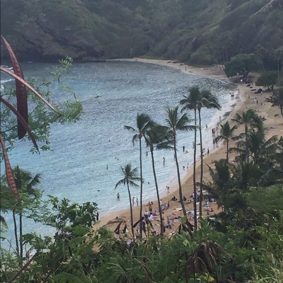 Meet your Posher, Amy - Picture 1 of 1