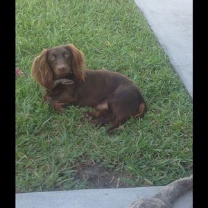 Meet your Posher, Kellie