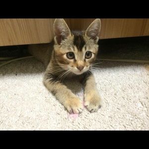 Meet your Posher, Beverly