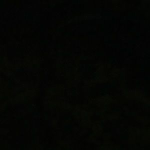 Meet your Posher, Mary irene