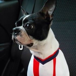 Meet your Posher, Greisy