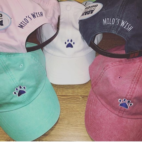 Milo's Wish๐ถ - Picture 2 of 4