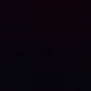 Meet your Posher, Judy