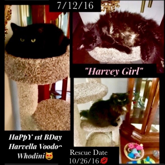 🍭H🍒PpY P🍒SHinG🍭L💝VE IS🍭Unconditional💋 - Picture 5 of 8