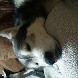 Meet your Posher, Carrie