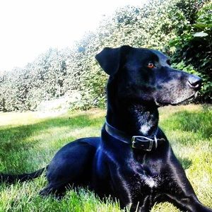 Meet your Posher, Annie