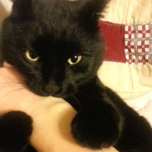 Meet your Posher, Cortney