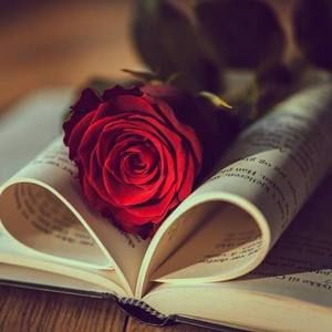 Meet your Posher, Santeliz