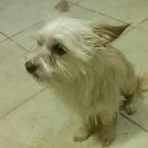 Meet your Posher, Faith