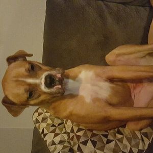 Meet your Posher, Amber