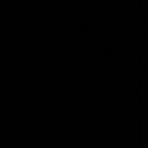 Meet your Posher, Kaitlin