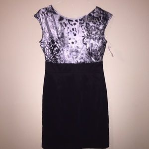Silver and Black Bodycon Dress