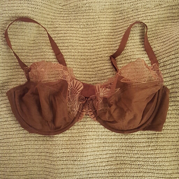 Panache Brand Sexy Sheer Bra