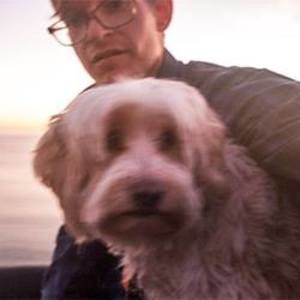 Meet your Posher, Jeff