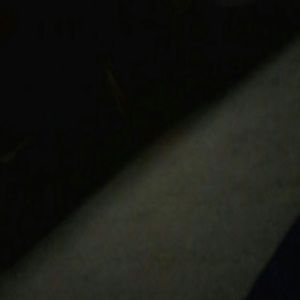 Meet your Posher, Nhieu