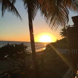 Meet your Posher, Wanda