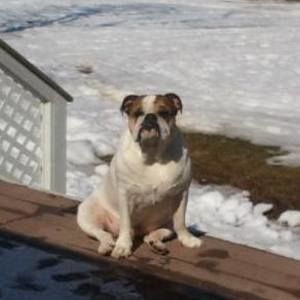 Meet your Posher, Christine