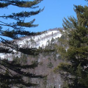 Meet your Posher, Tami