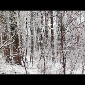 Meet your Posher, Margit