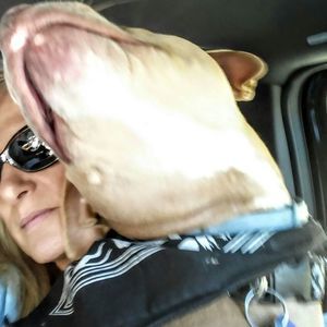 Meet your Posher, Jetson