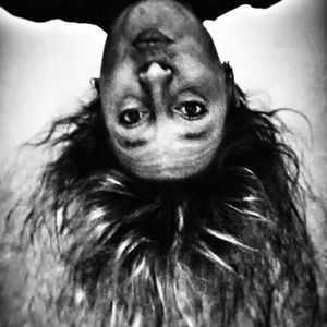 Meet your Posher, Wendy