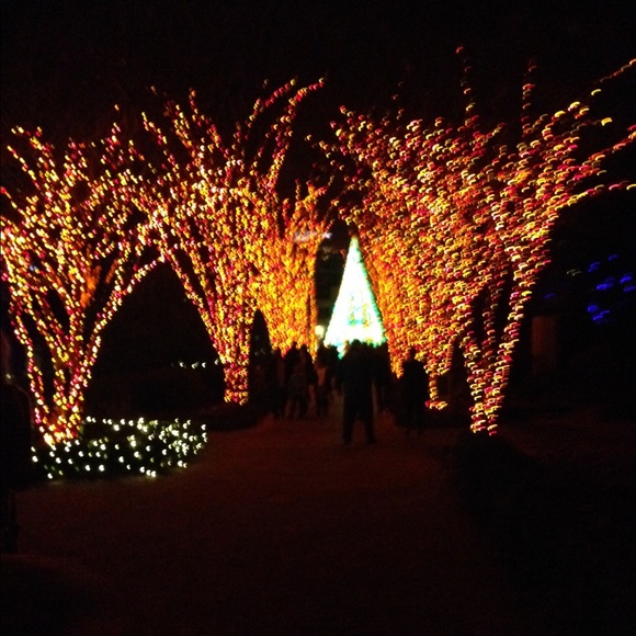 Meet your Posher, Lauryn