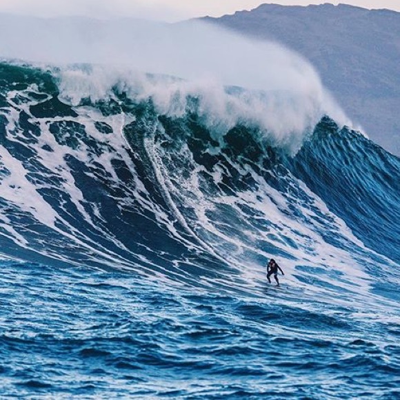 Meet your Posher, Avery! - Picture 2 of 4