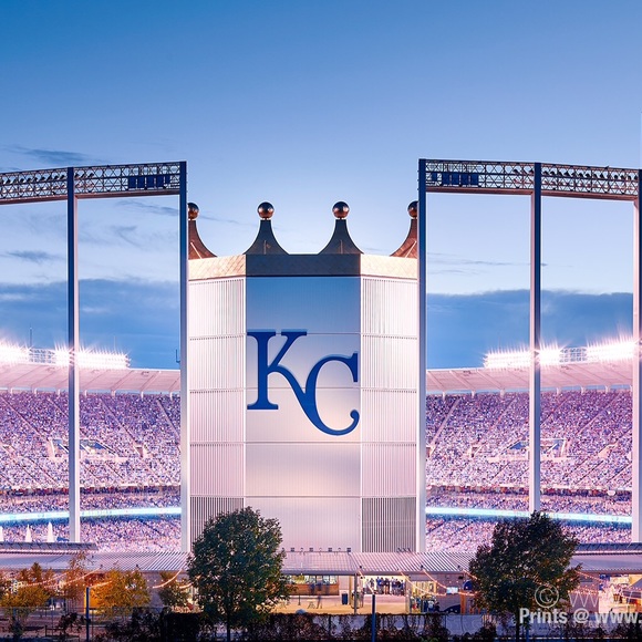 Meet your Posher, Avery! - Picture 4 of 4