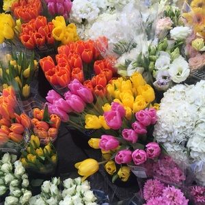 Meet your Posher, Aileen