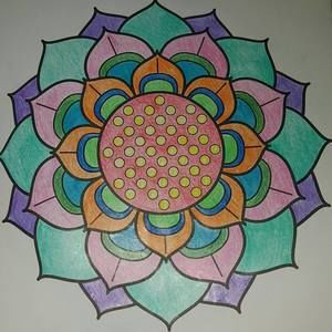 Meet your Posher, Lacy