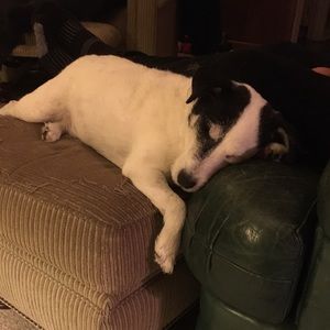 Meet your Posher, Kaitlyn