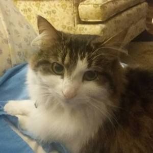 Meet your Posher, Cindy