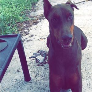 Meet your Posher, Vanessa