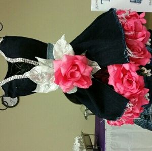 Meet your Posher, Bernadette