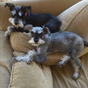 Meet your Posher, Denise