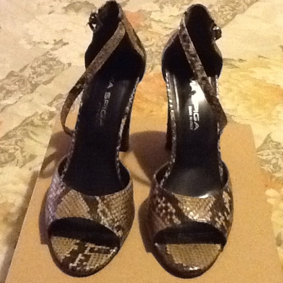 Snakeskin shoes