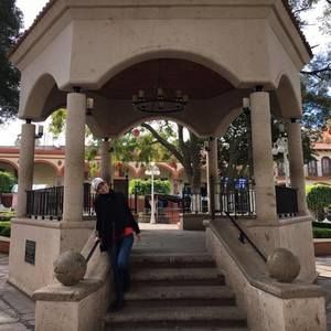 Meet your Posher, Elena