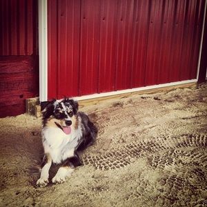 Meet your Posher, Natalie