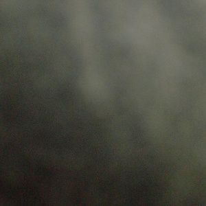 Meet your Posher, Louise