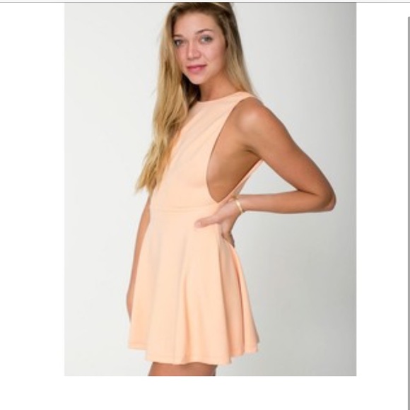 American Apparel Skater Dress