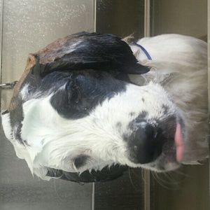 Meet your Posher, Macy